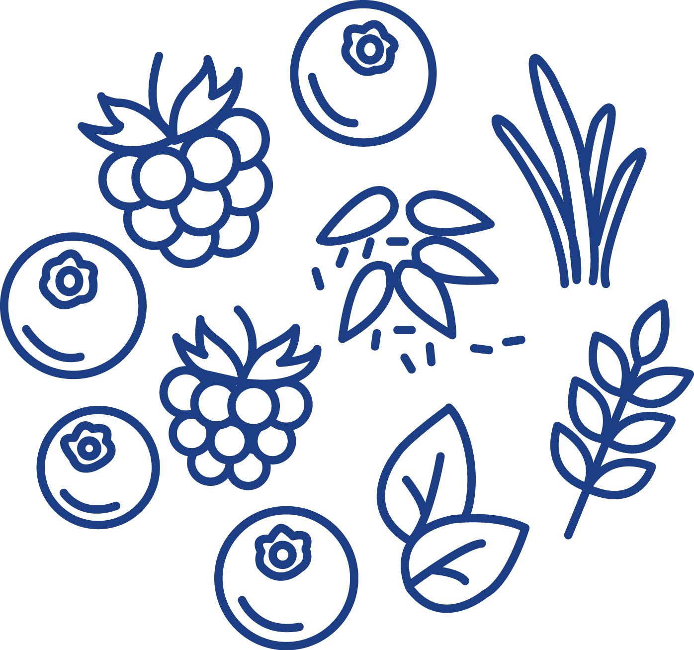 スーパーフード