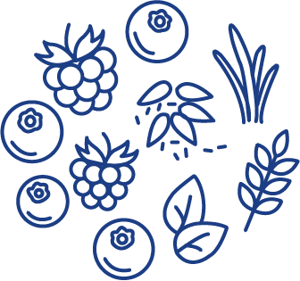 スーパーフード